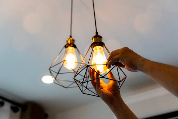 Best Affordable Electrician  in Mayer, MN