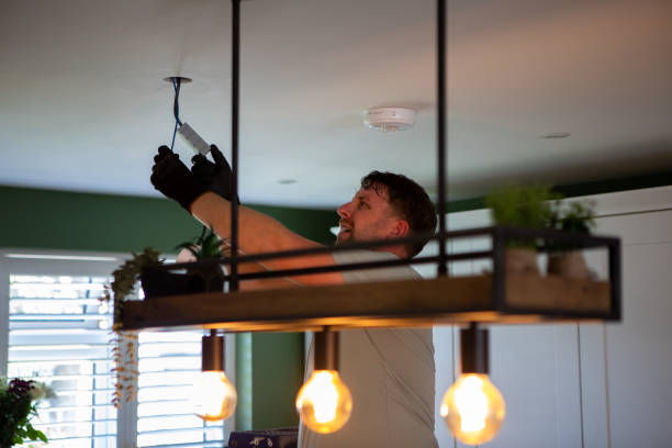 Best Licensed Electrician  in Mayer, MN