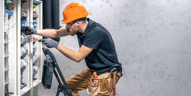 Best Home Electrical Repair  in Mayer, MN